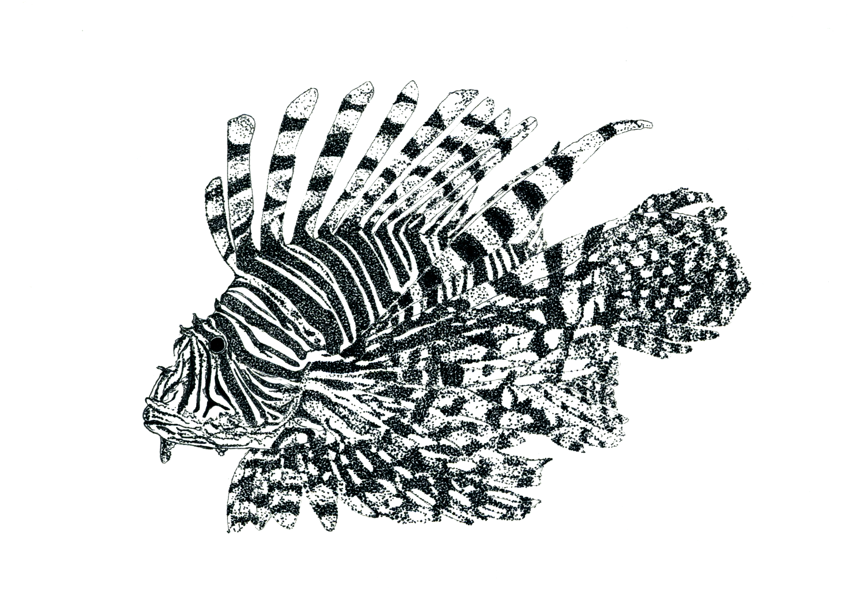 Pez león